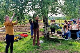 Creatief Samenwerken: Workshop Teamuitje voor Team Building Succes