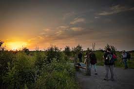 Verdiep je Passie: Workshop Natuurfotografie voor Beginners en Gevorderden