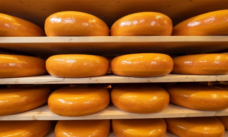 Ontdek de Kunst van Kaasmaken: Volg een Inspirerende Kaas Workshop!