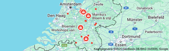 Ontdek de Schoonheid van Bloemschikken: Volg een Inspirerende Bloemen Workshop