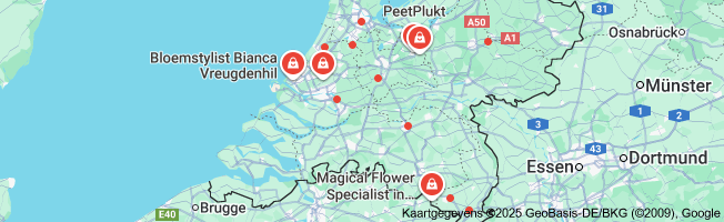 Ontdek je creativiteit: Bloemschik Workshop voor Beginners en Gevorderden