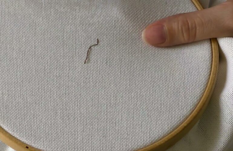 Ontdek de Magie van Borduren met de Steelsteek Techniek