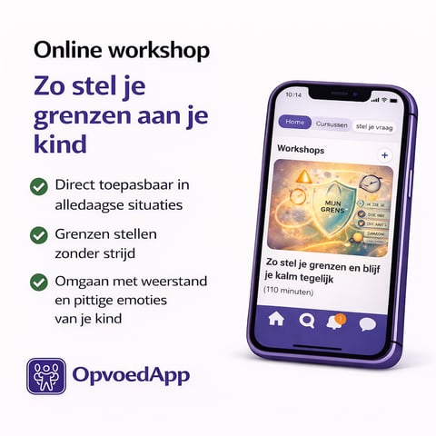 workshops voor stellen